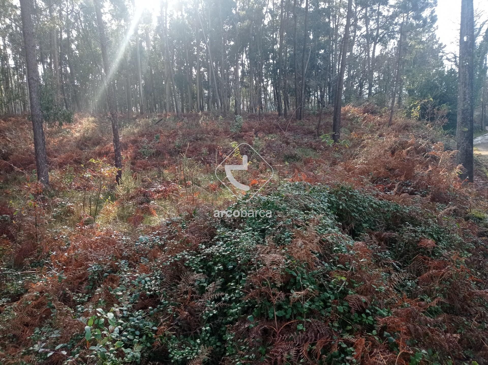 Land for sale in Vila Nova de Cerveira, Portugal — €56,000