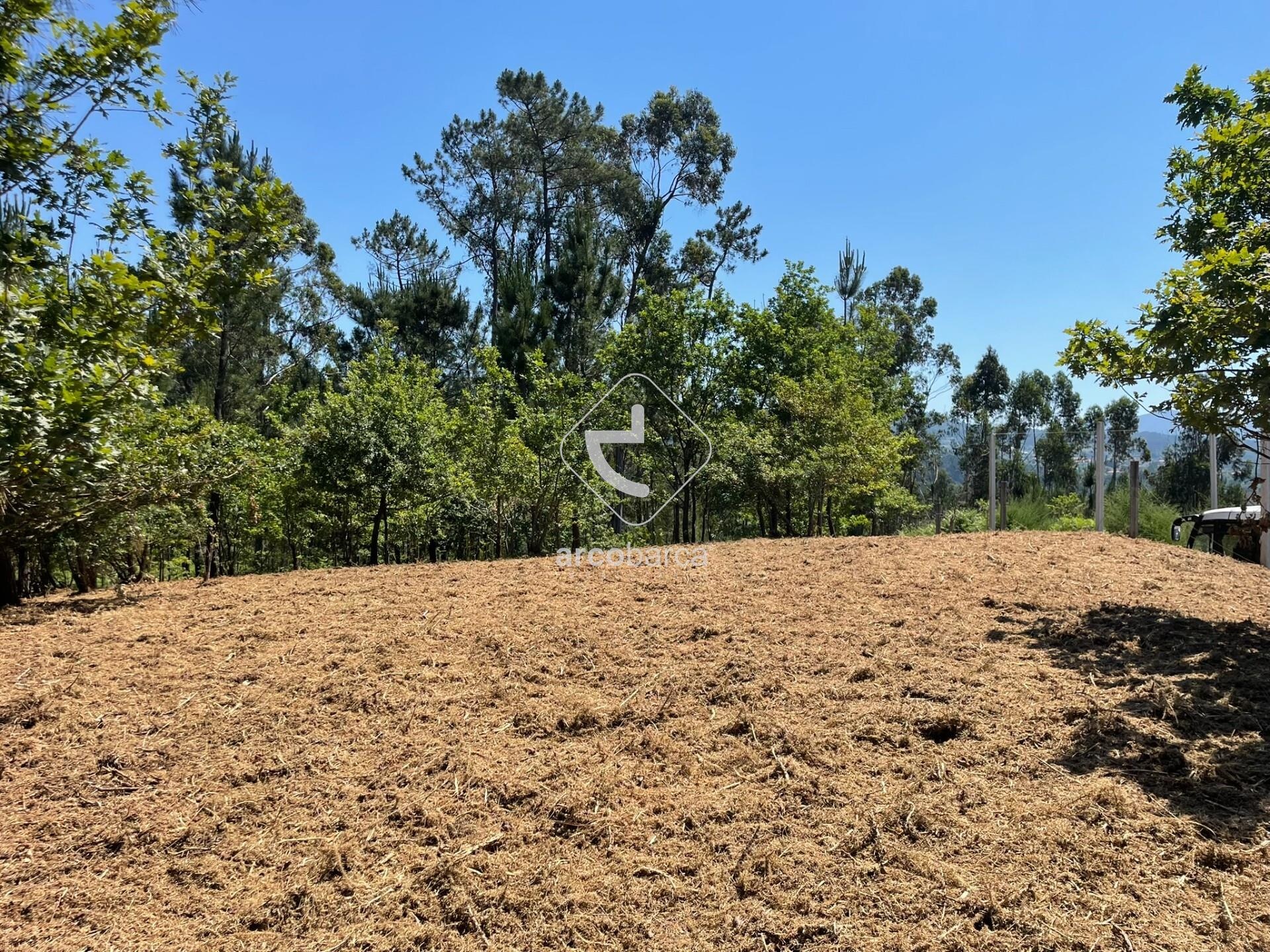 Land for sale in Arcos de Valdevez, Portugal — €55,000