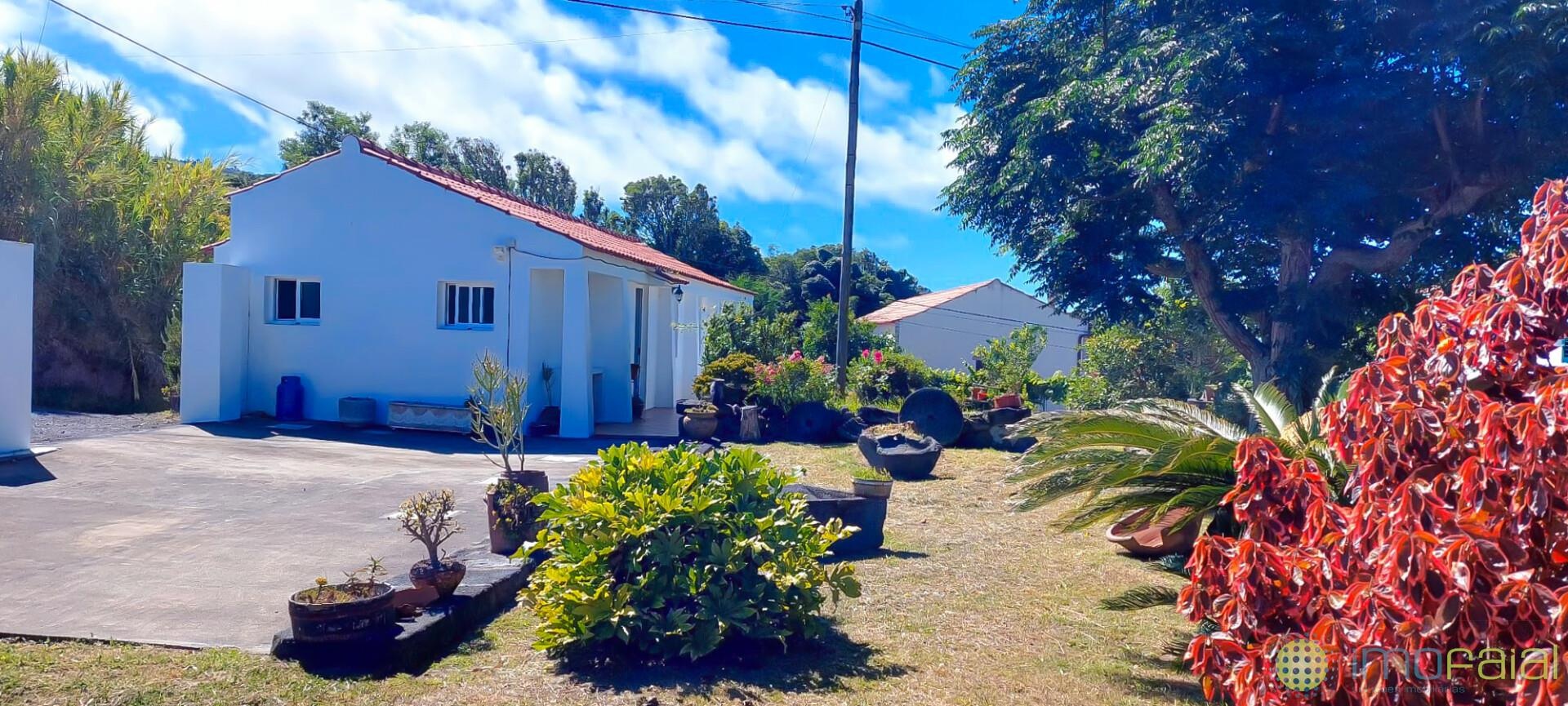 T2|Cedros
