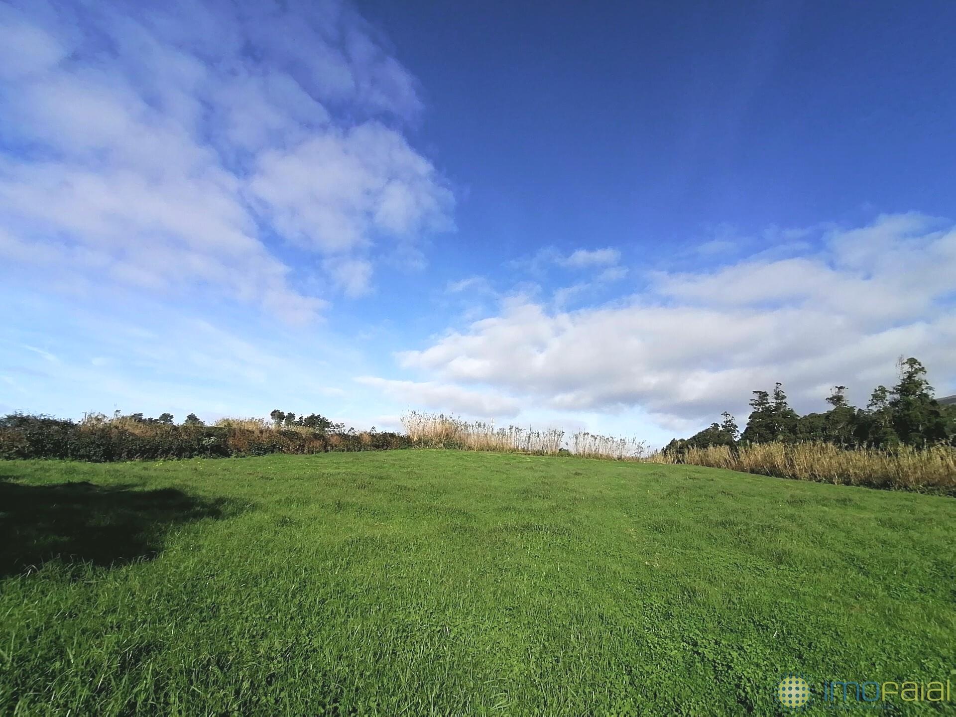 Terreno para Construção|Castelo Branco