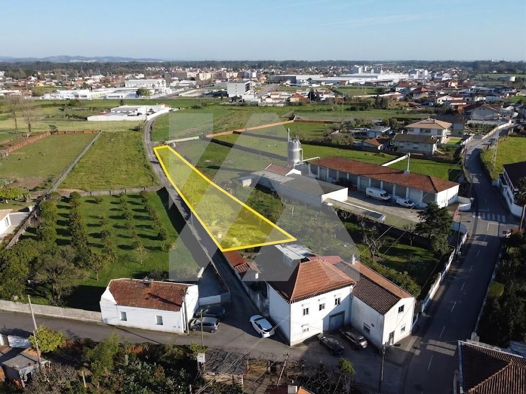 Terreno Rústico com Viabilidade de Construção - Avanca