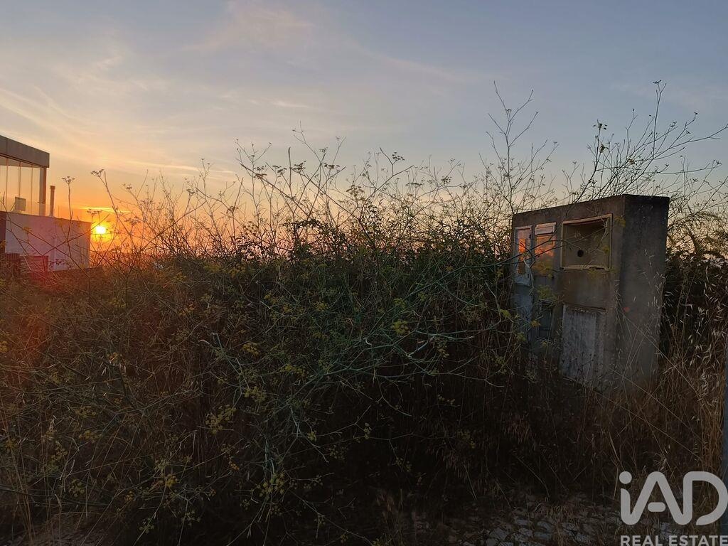 Land in Castelo - Image 4