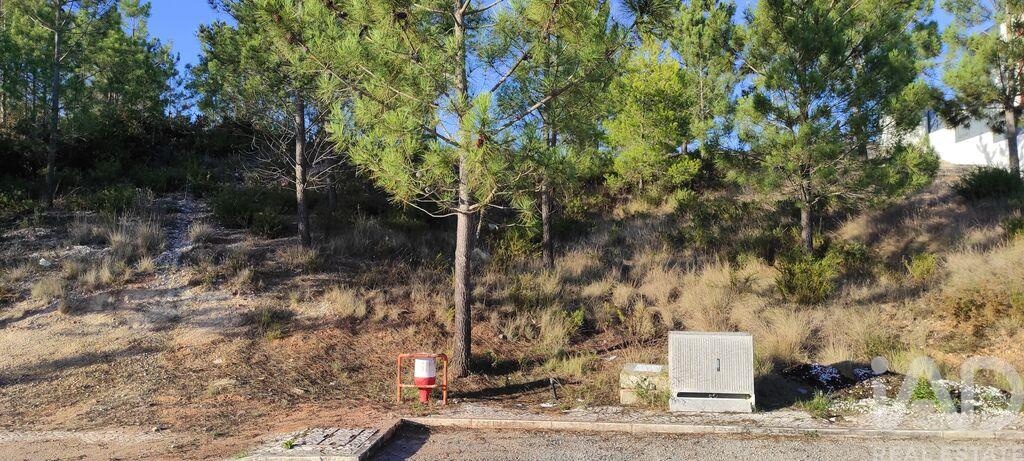 Land in Castelo - Image 4