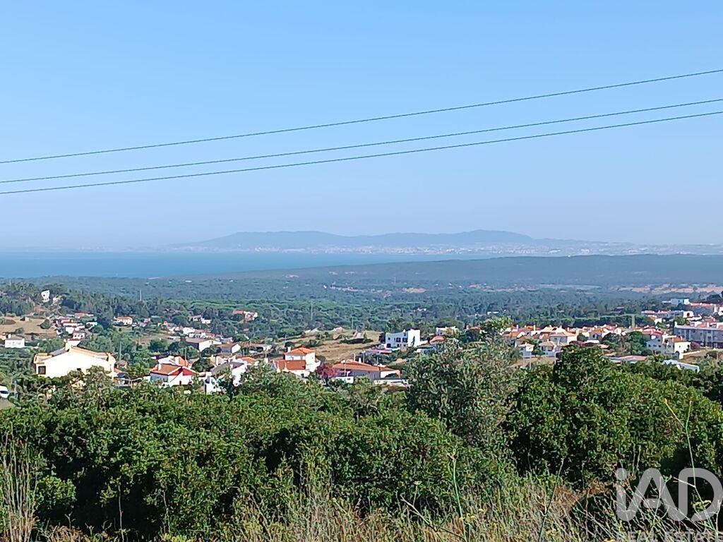 Land in Castelo - Image 3