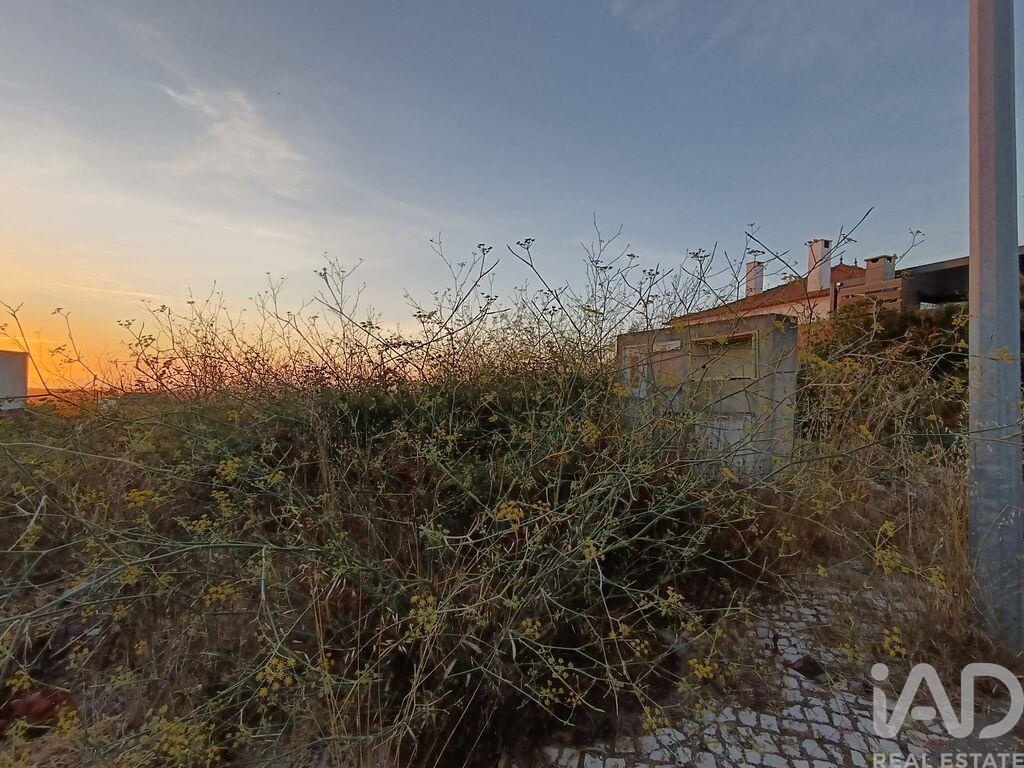 Land in Castelo - Image 5