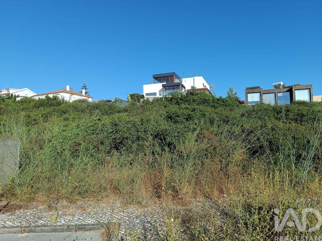 Land in Castelo - Image 4