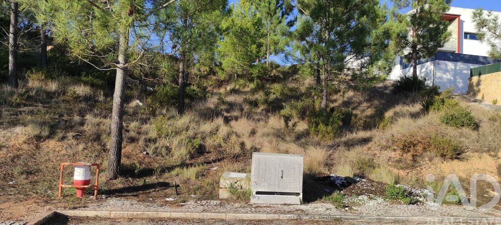 Land in Castelo - Image 2