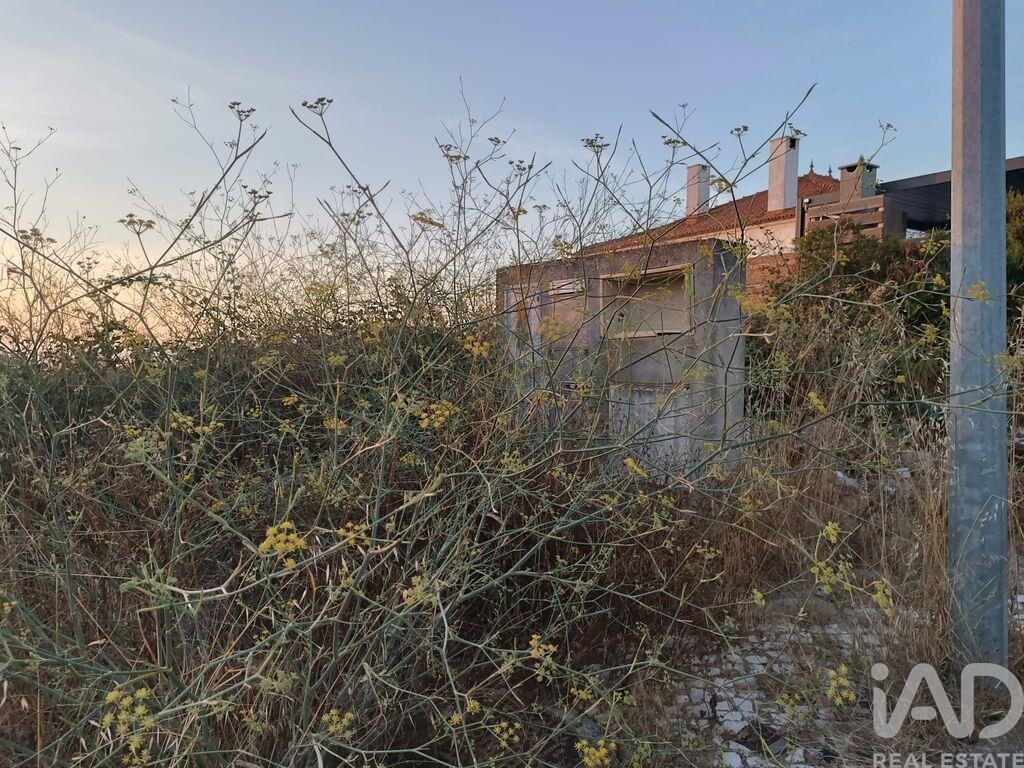 Land in Castelo - Image 2