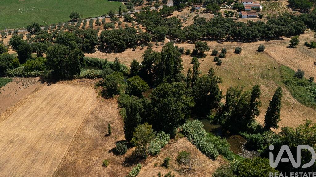House in Sao Pedro de Tomar - Image 4