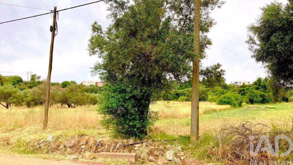 Land in Sao Bras de Alportel - view 1