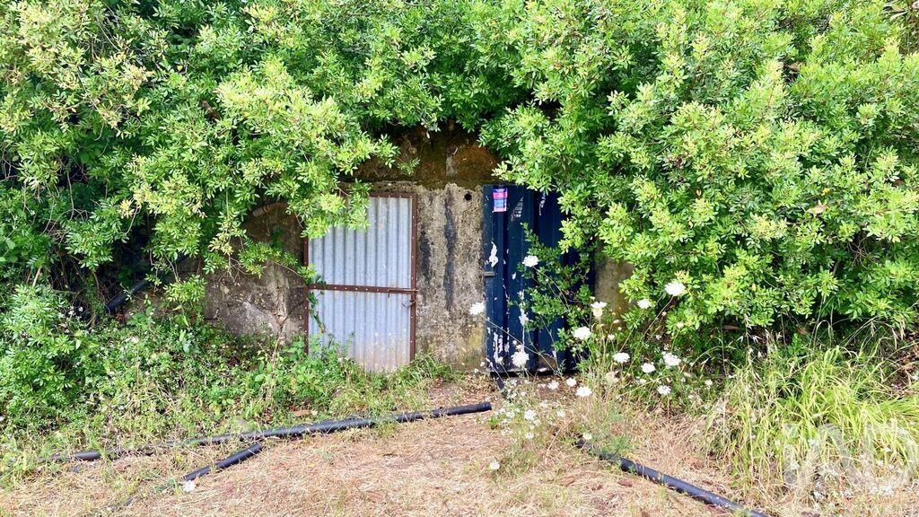 Land in Sao Bras de Alportel - Image 4