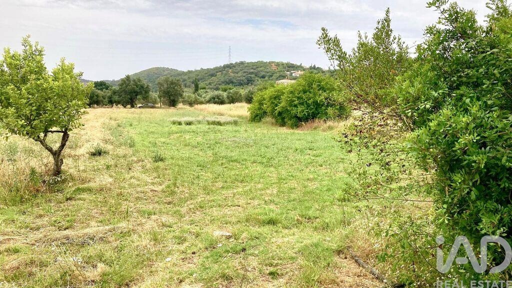 Land in Sao Bras de Alportel - Image 3