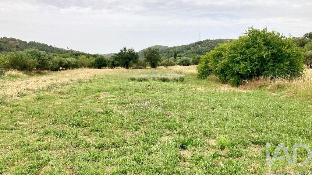 Land in Sao Bras de Alportel - Image 5