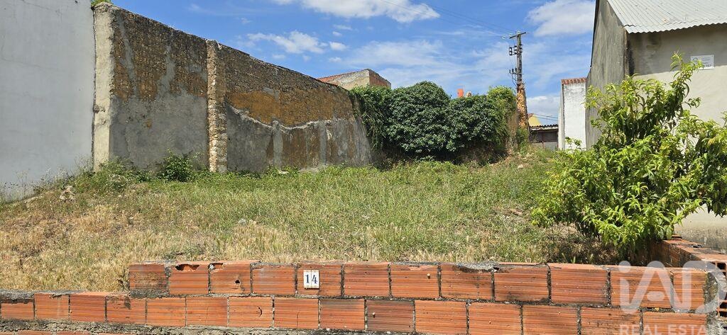 Land in Rio Maior - Image 3