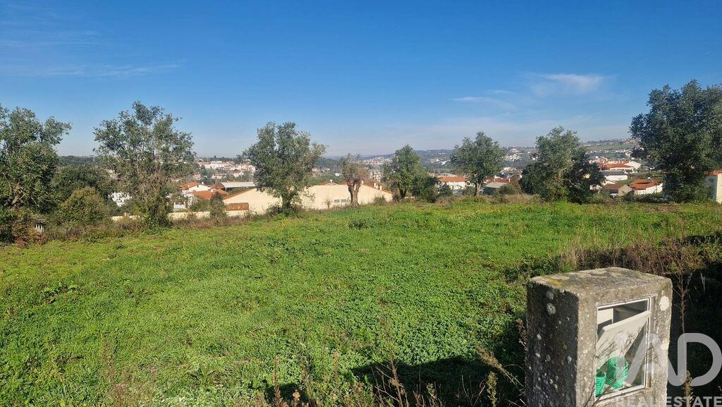 Land in Batalha - Image 3