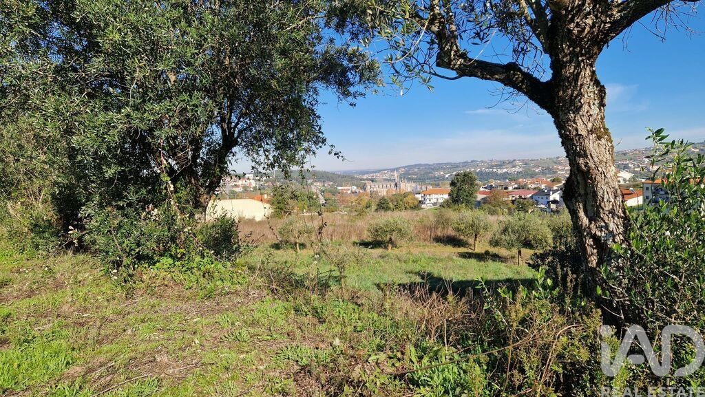 Land in Batalha - Image 5