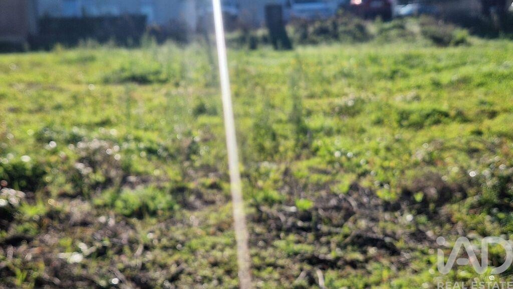 Land in Batalha - Image 4