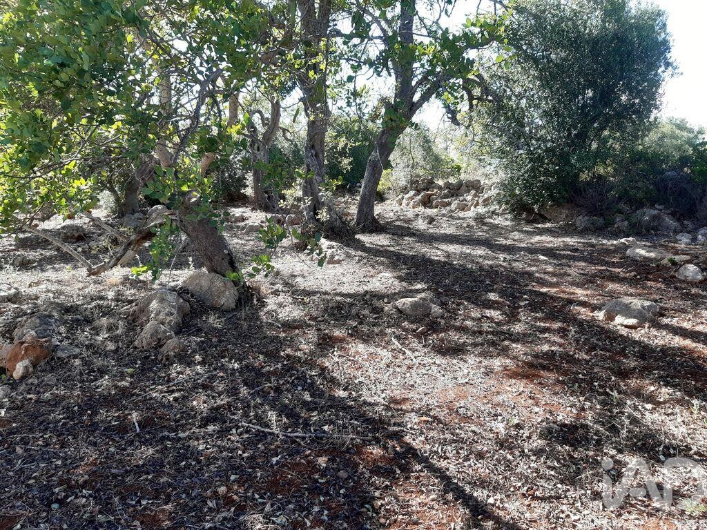 Land in Alte - view 1