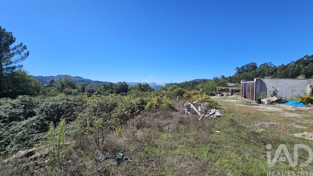 Land in Couto - view 1