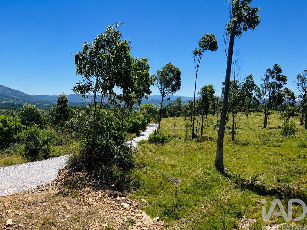 Land in Medas - Image 3