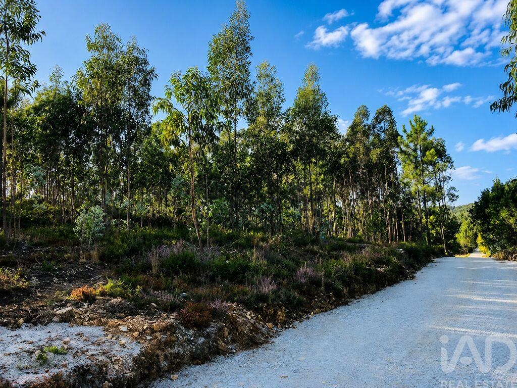 Land in Medas - Image 2