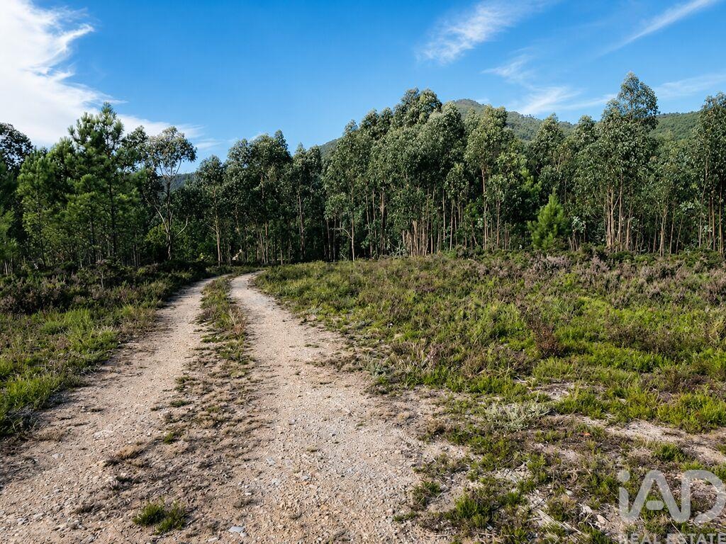 Land in Medas - view 1