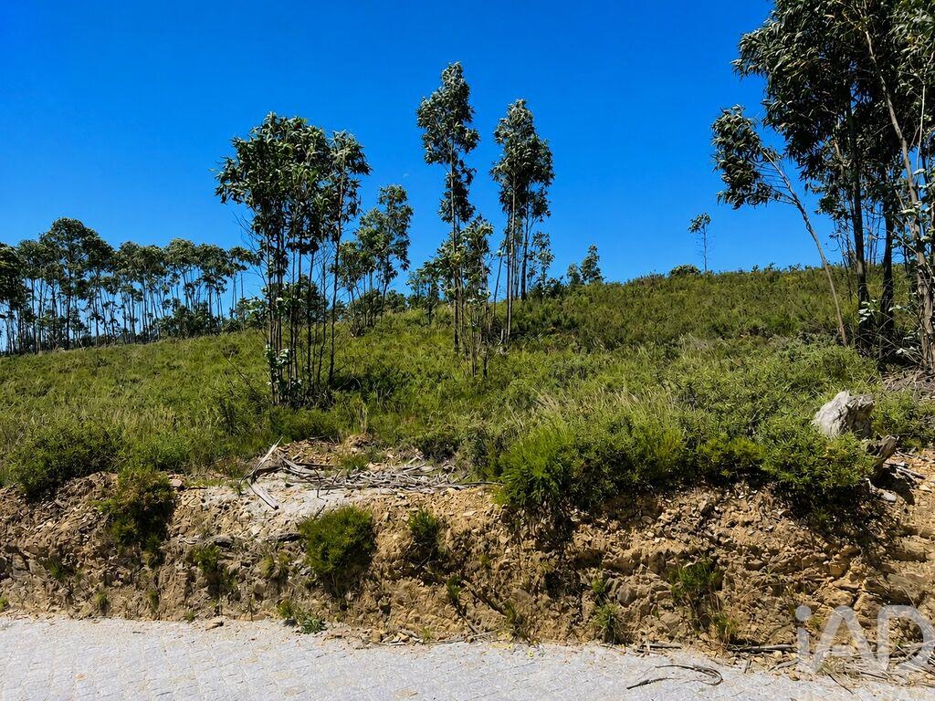 Land in Medas - Image 5