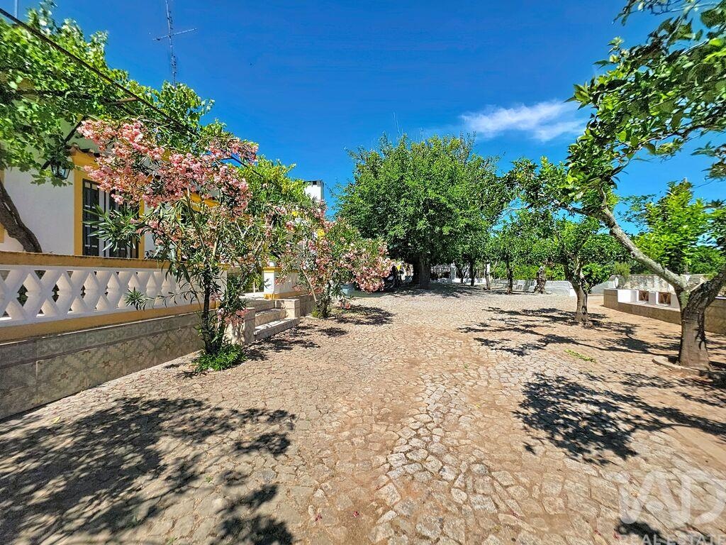 Farm, Ranch or Equestrian in Assuncao - view 1