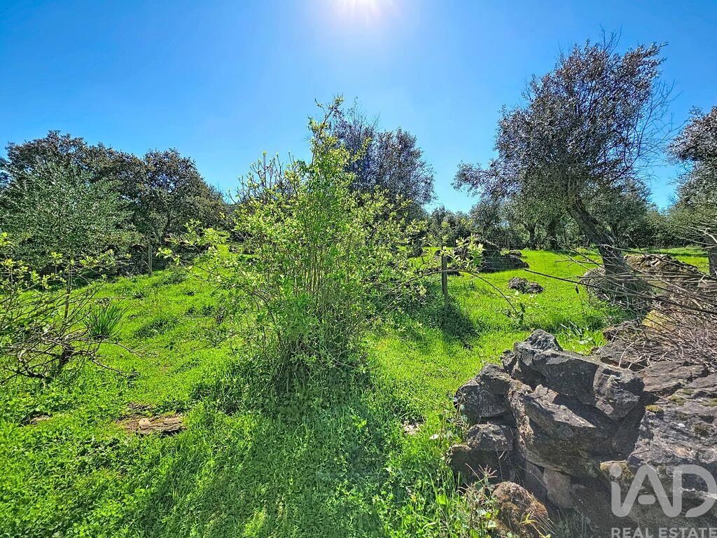 House in Rio de Moinhos - Image 4