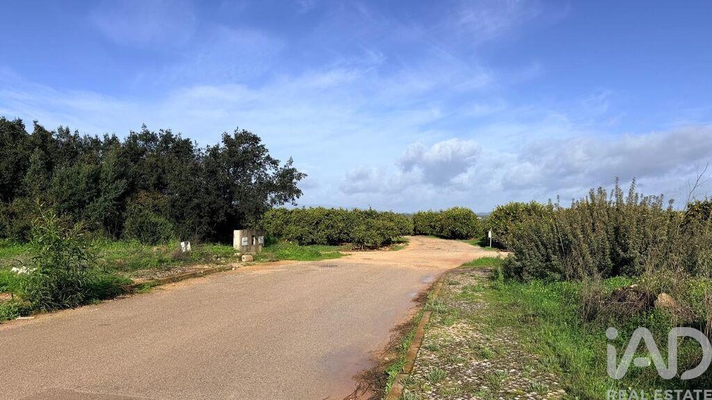 Land in Pera - view 1