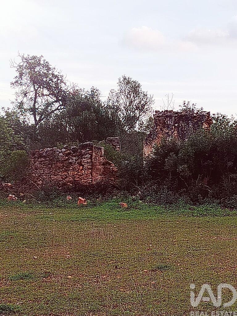 Land in Moncarapacho - Image 5