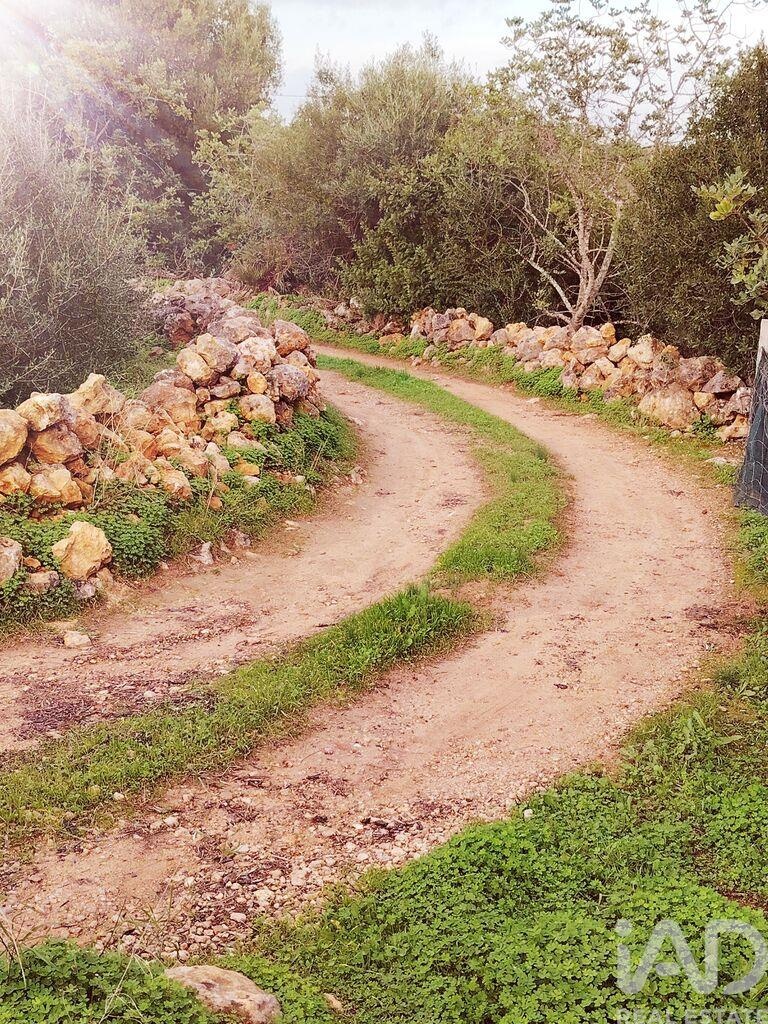 Land in Moncarapacho - Image 2