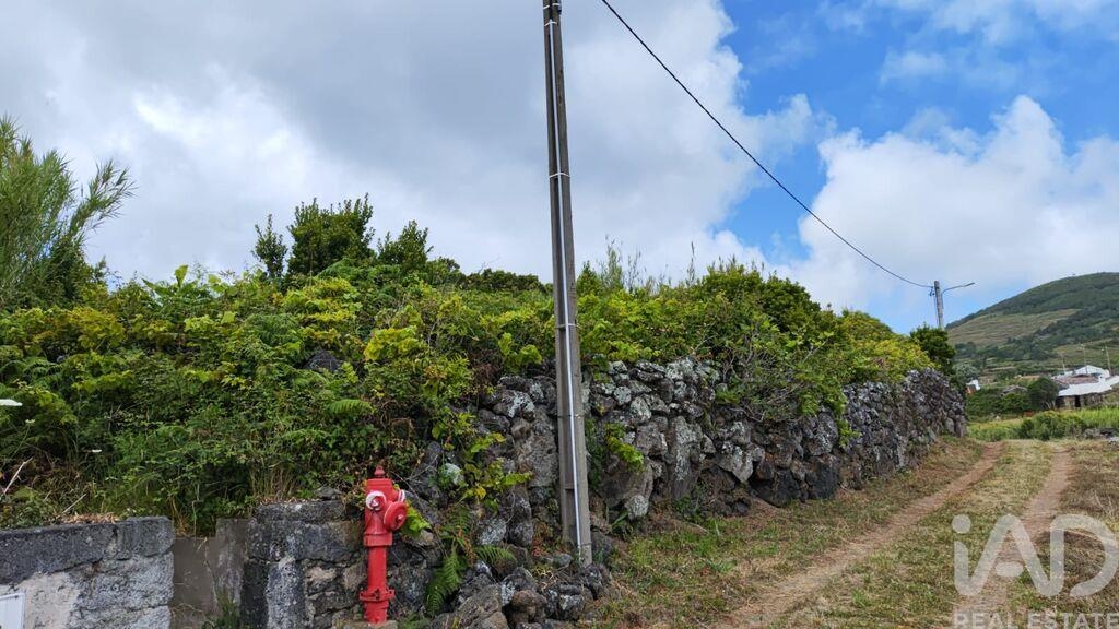 Land in Santa Cruz da Graciosa - Image 3