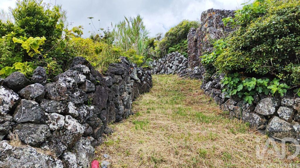 Land in Santa Cruz da Graciosa - Image 5