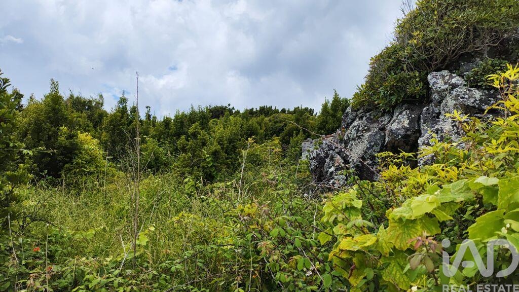 Land in Santa Cruz da Graciosa - Image 4