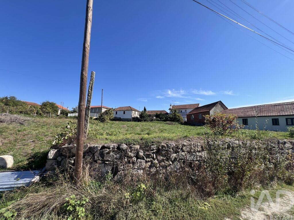 Land in Santa Cruz da Trapa - Image 2