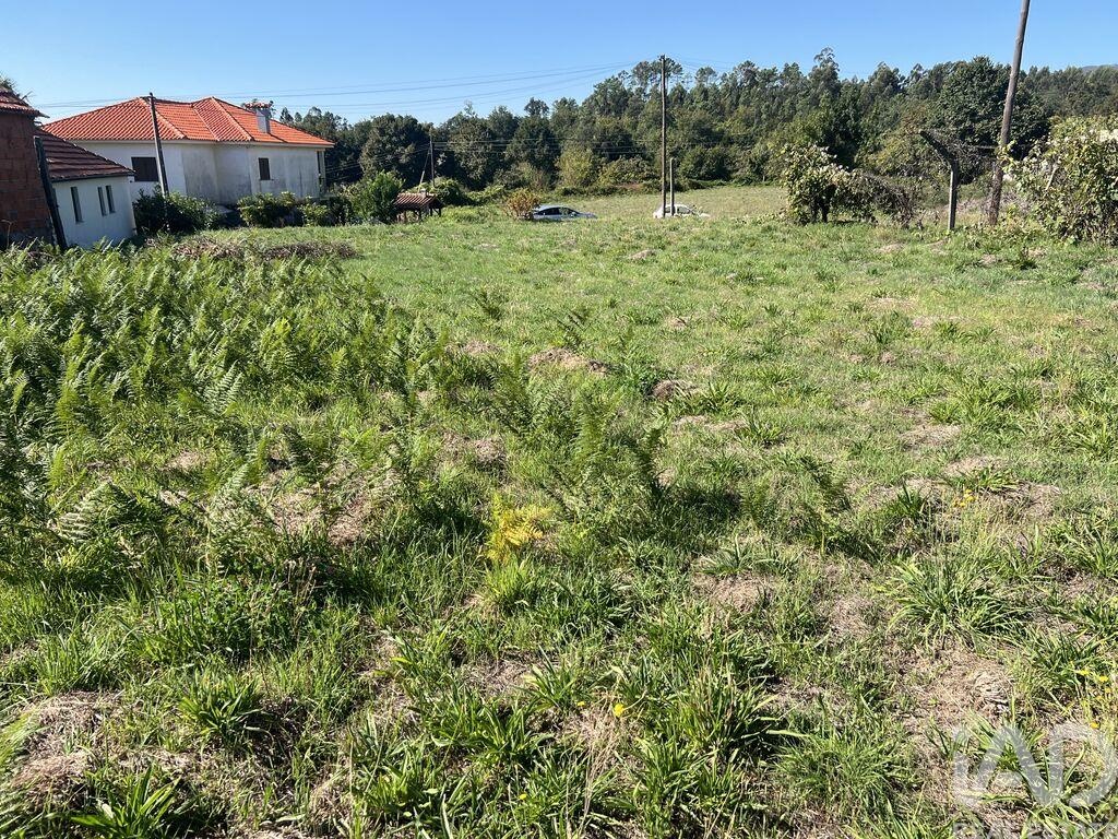 Land in Santa Cruz da Trapa - Image 4