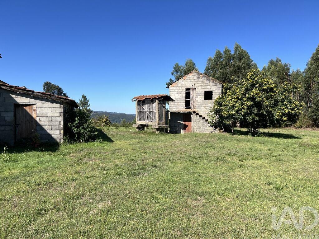 Land in Serrazes - view 1