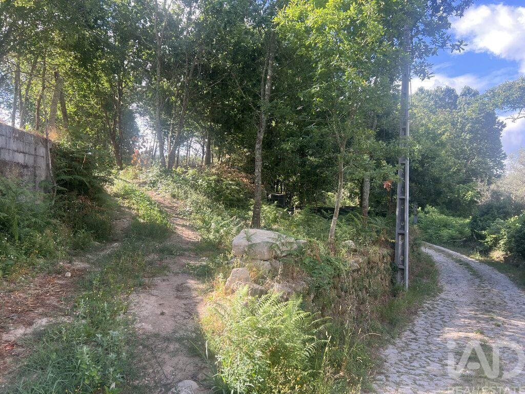 Land in Carvalhais - view 1
