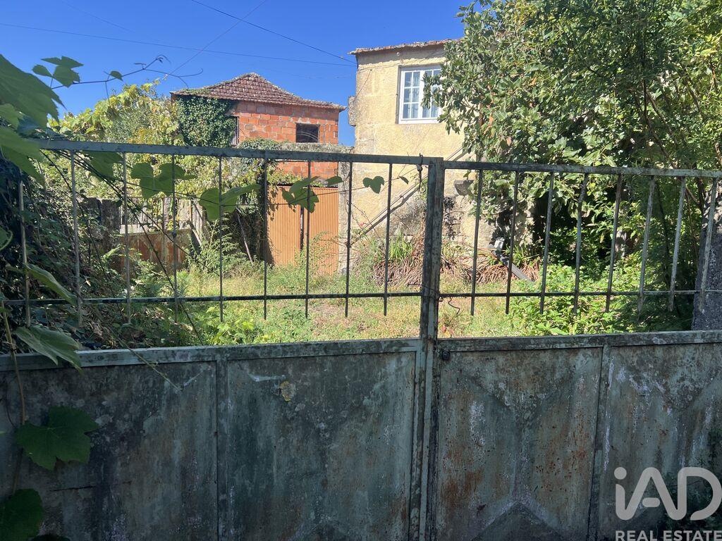 House in Santa Cruz da Trapa - Image 3