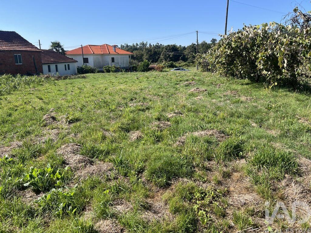 Land in Santa Cruz da Trapa - Image 3