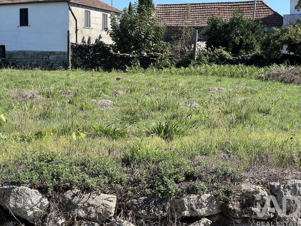 Land in Santa Cruz da Trapa - Image 5