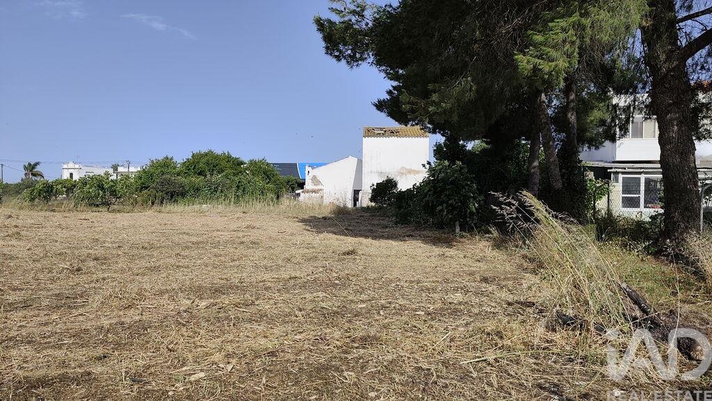 House in Vale da Rosa - Image 5