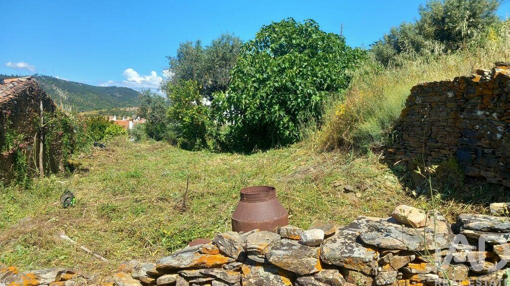 House in Nisa - Image 3