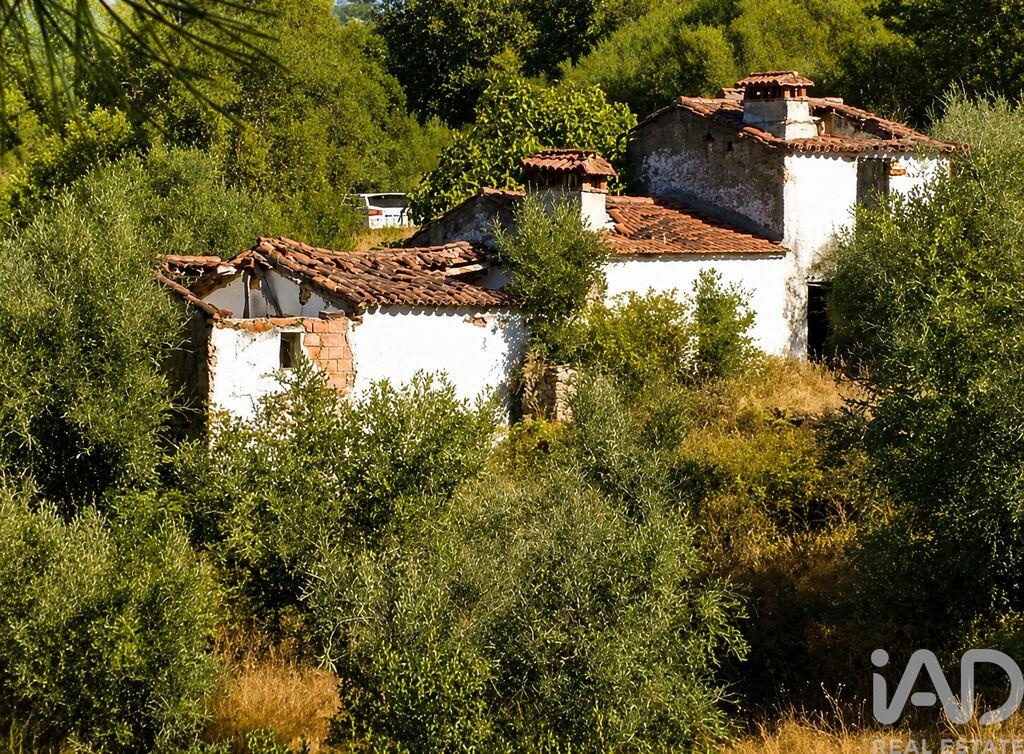 Farm, Ranch or Equestrian in Portalegre - view 1