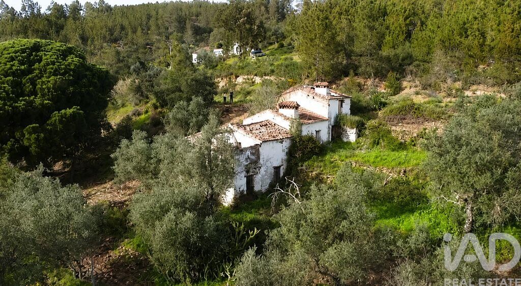 Farm, Ranch or Equestrian in Portalegre - Image 3