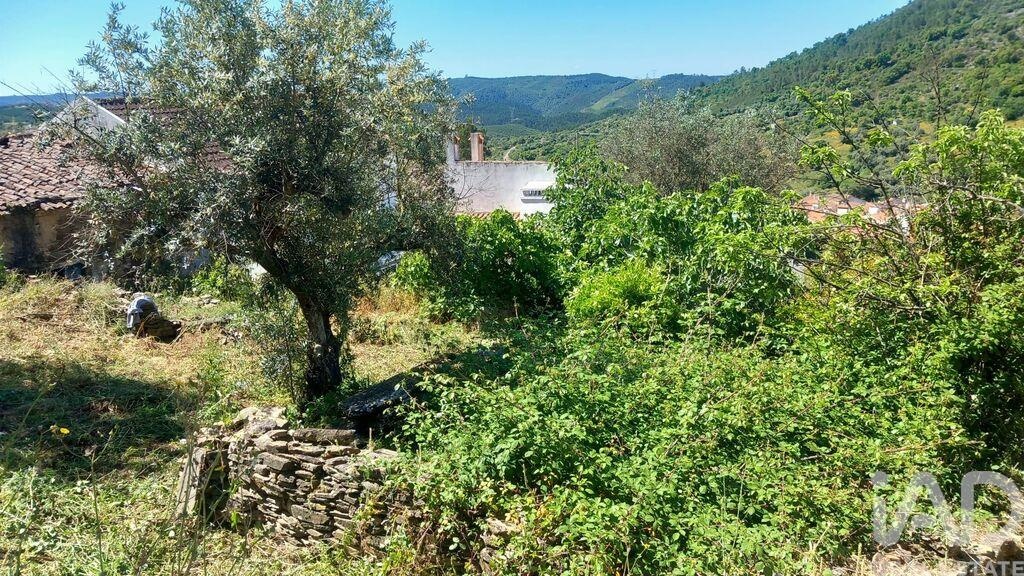 House in Nisa - Image 5