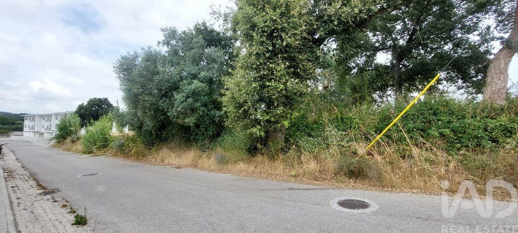 Land in Marrazes - view 1