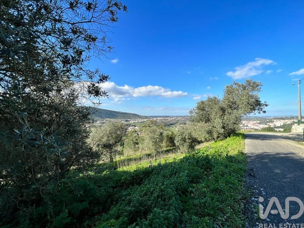 Land in Porto de Mos - Image 3