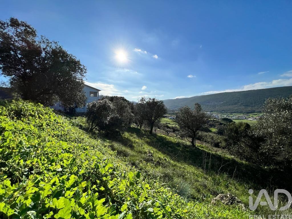 Land in Porto de Mos - Image 2